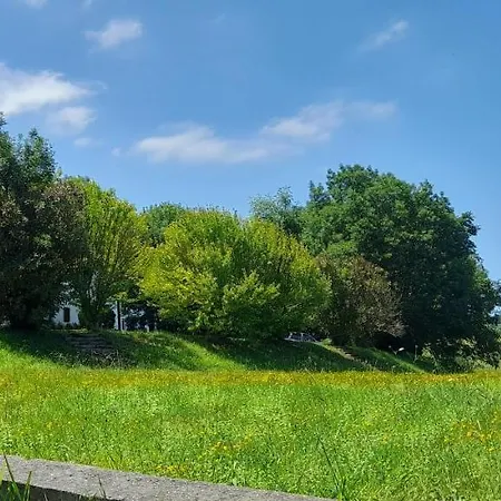 Argoin Txiki Zarautz