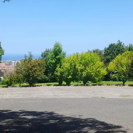 Argoin Txiki זראוטס