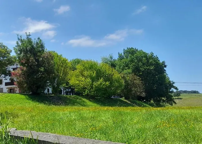 Argoin Txiki Zarautz